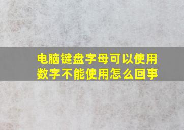 电脑键盘字母可以使用 数字不能使用怎么回事